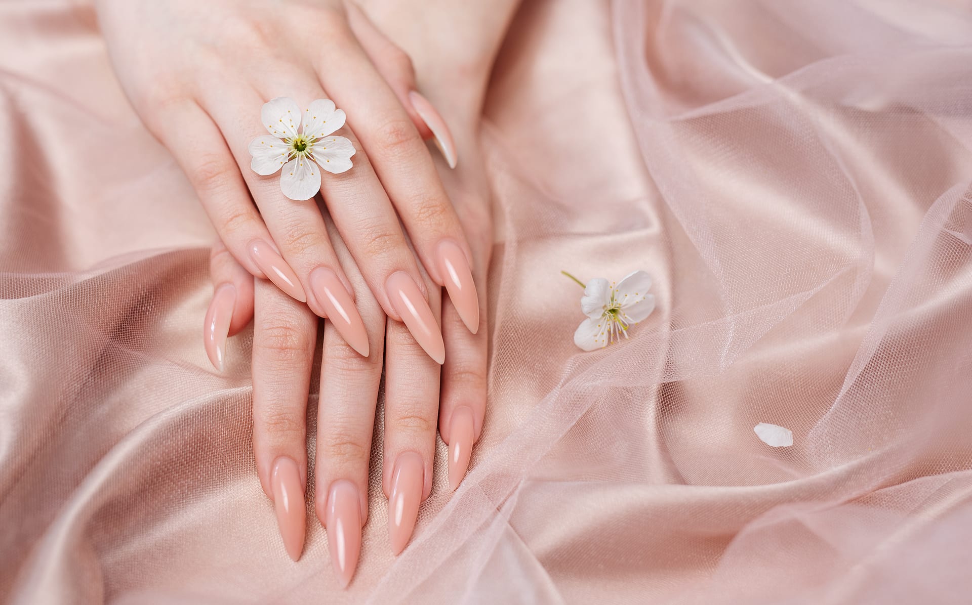 0118 model code Builder Gel Nails nail design